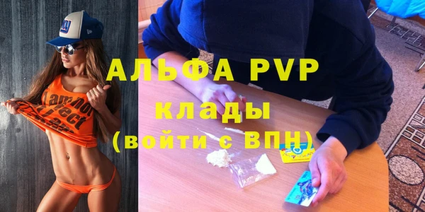 спиды Абаза