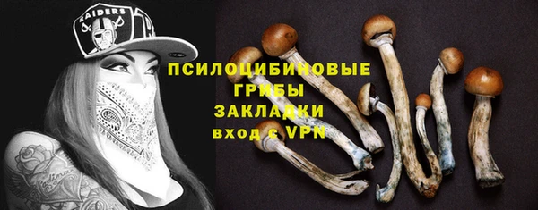 спайс Абинск
