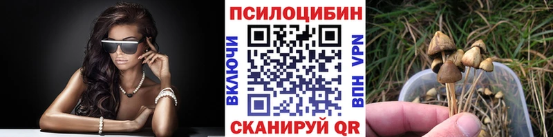 купить наркоту  Абаза  Псилоцибиновые грибы Psilocybe 